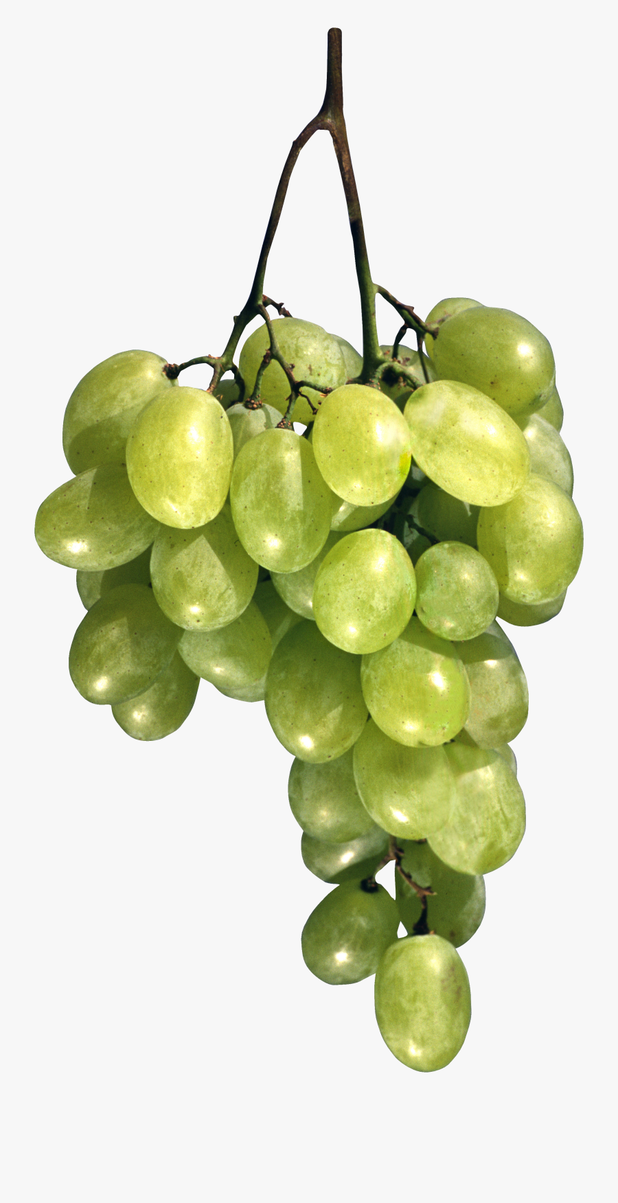 Transparent Green Vines Png - Зеленый Виноград Png, Transparent Clipart