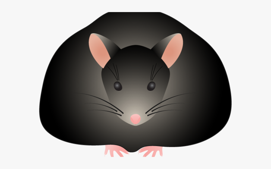 Larger Clipart Fat - Lab Fat Mouse Cartoon, Transparent Clipart