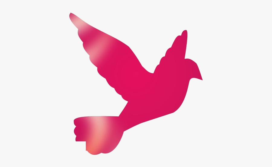 Christian Dove Hd Png Clipart Download - Chicken, Transparent Clipart