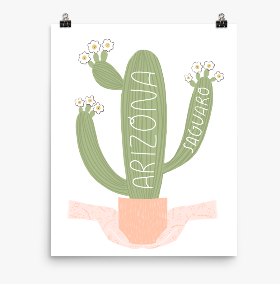 Flowerpot, Transparent Clipart