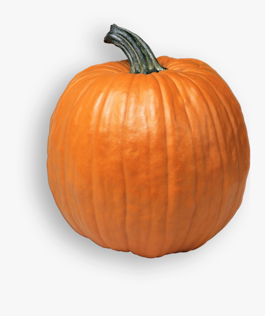 Transparent Pumpkin Farm Clipart - Pumpkin Png, Transparent Clipart