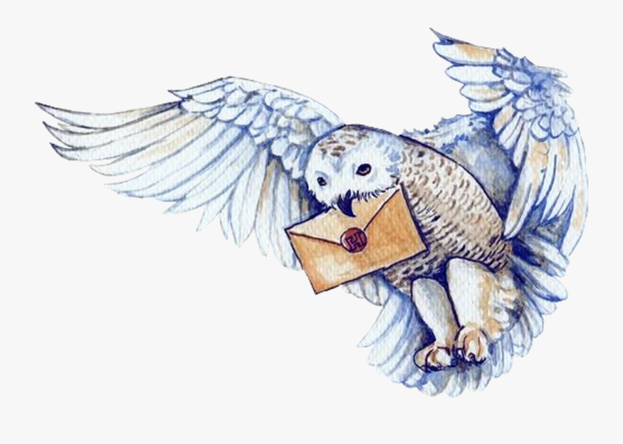 Knightbus Harrypotter Hedwig Hogwartsletter - Harry Potter Hedwig Cartoon, Transparent Clipart