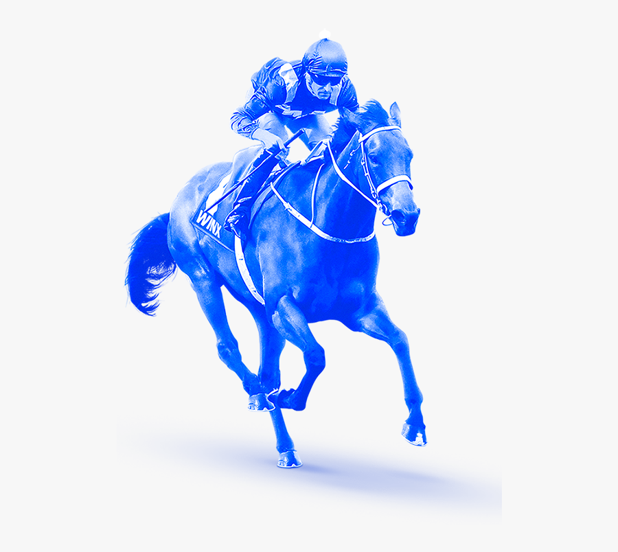 Race Horse Png -horse Running - Spring Racing Carnival 2017 Logo, Transparent Clipart