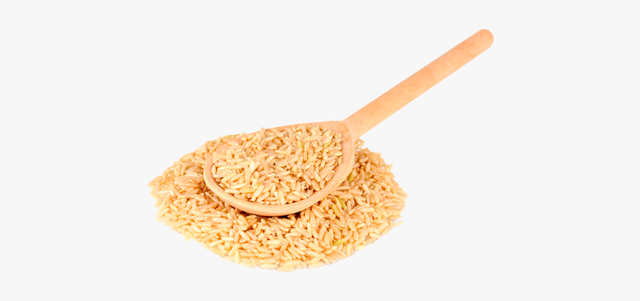 Rice - Gmo Rice Png, Transparent Clipart