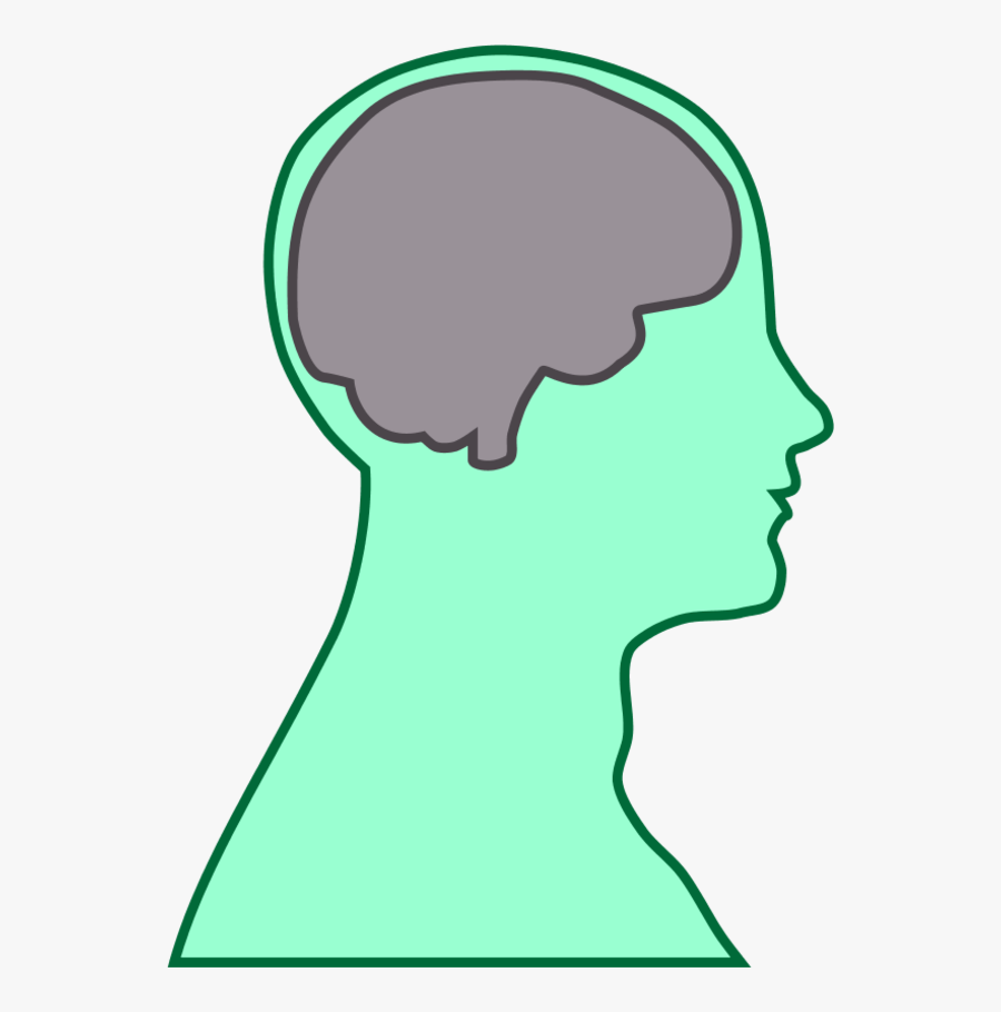 Brain Human Man - Cartoon Head With Brain, Transparent Clipart