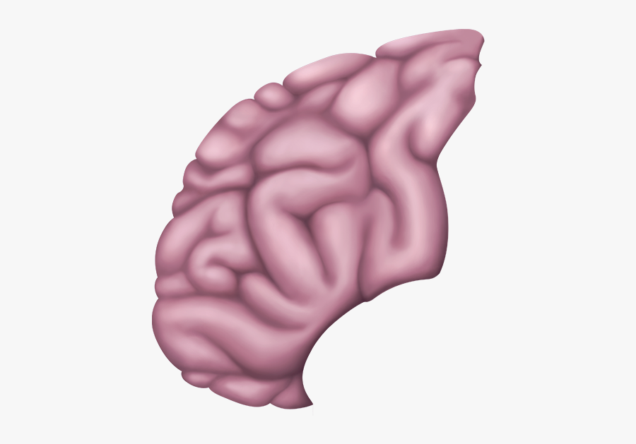 Brain Clipart Transparent Background, Transparent Clipart