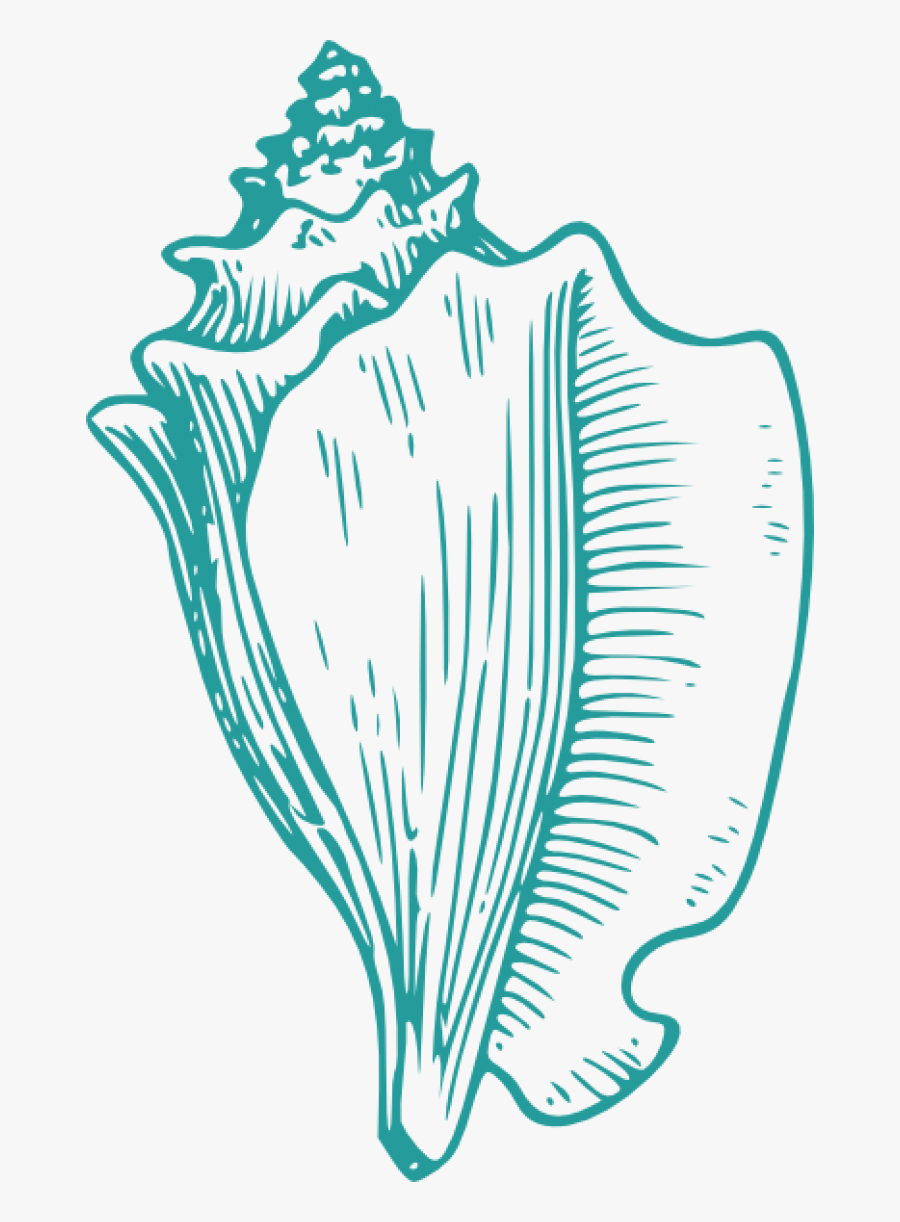 Transparent Colorful Seashell Clipart - Conch Shell Cartoon, Transparent Clipart