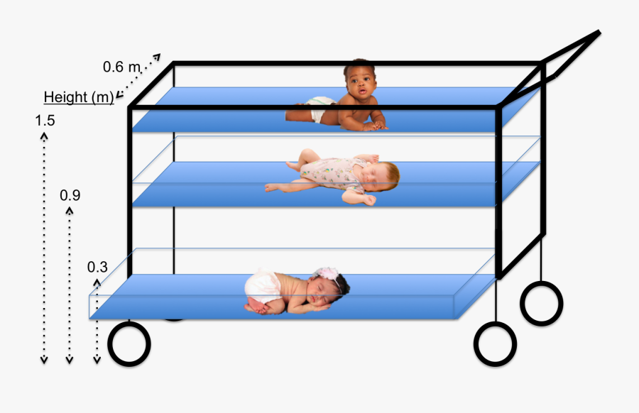 Ghana Group 4-3, Transparent Clipart