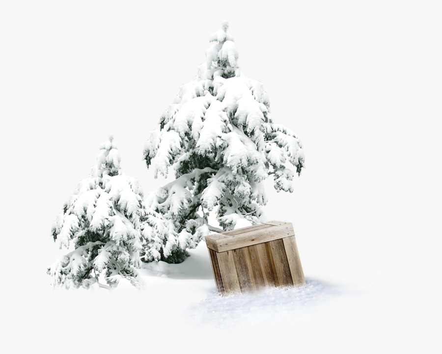 Winter Snow Tree Forest - Snow, Transparent Clipart