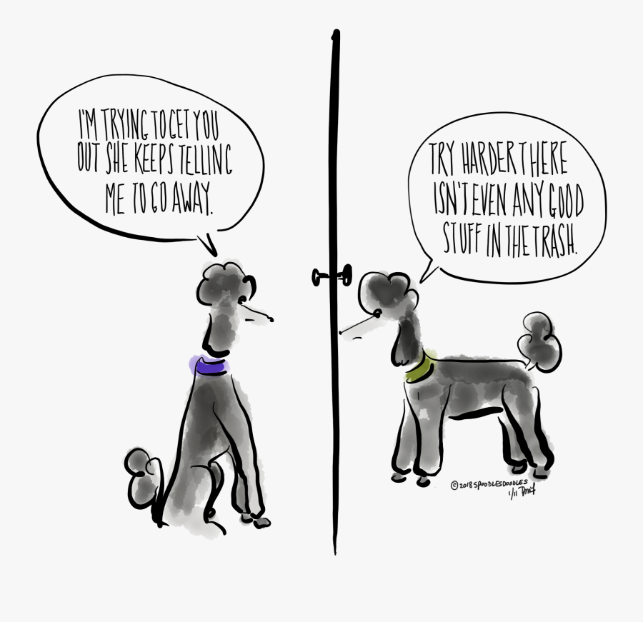 Cockapoo Clipart Doodle Dog - Cartoon, Transparent Clipart