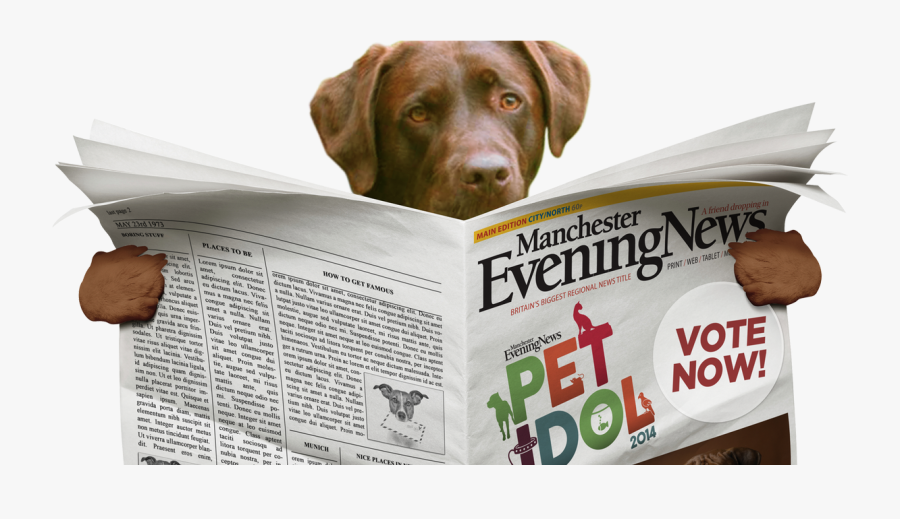 Clip Art Dog Reading Newspaper - Dog Reading Newspaper Png, Transparent Clipart