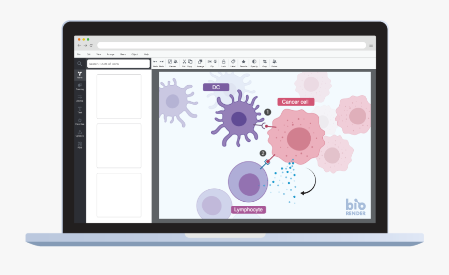 Circle, Transparent Clipart