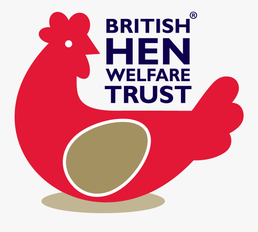 Giving Battery Hens A Fresh Start In Life, With Help - British Hen Welfare Trust, Transparent Clipart