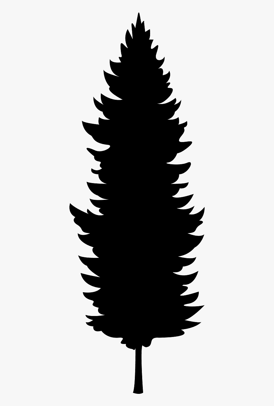 Douglas Fir Forest Graphic, Transparent Clipart