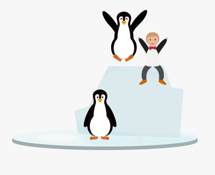 Penguin Iceberg-01 - Gentoo Penguin, Transparent Clipart