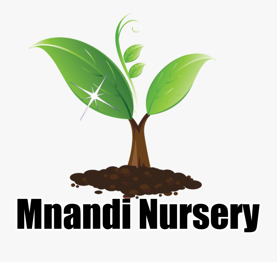 Transparent Liriope Png - Tunas Pohon, Transparent Clipart