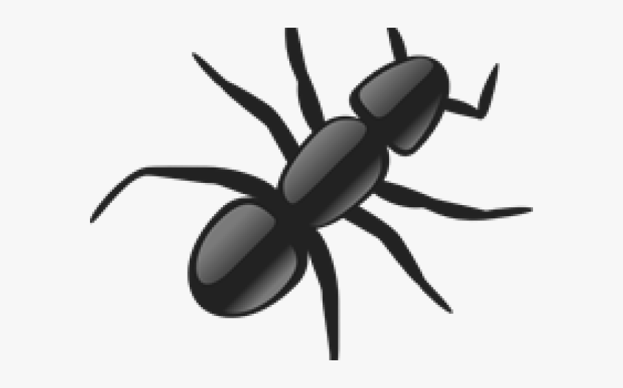 Italy Clipart Ant - Ants Clipart Transparent, Transparent Clipart