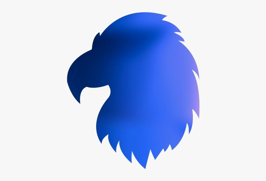 Bald Eagle Head Png Clipart Free Download, Transparent Clipart