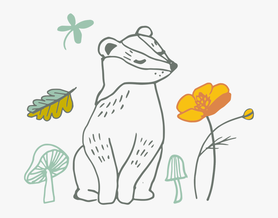 Picture - Cartoon, Transparent Clipart