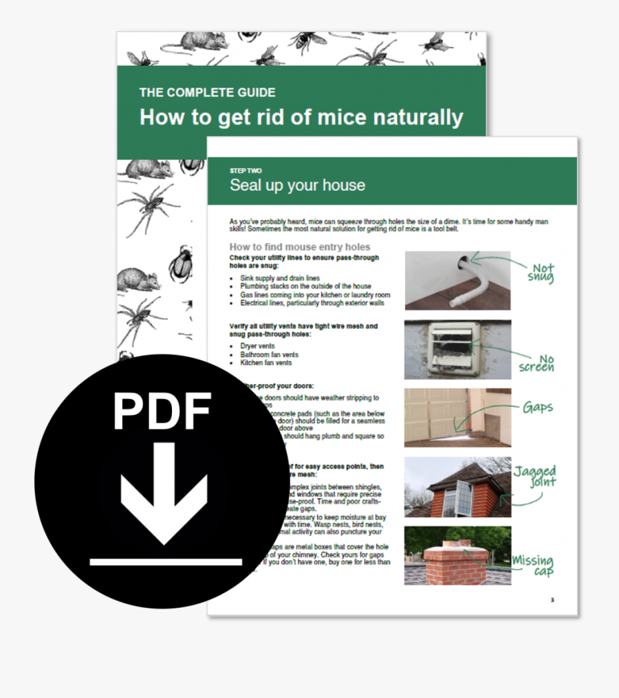 A Preview Of The Free Ebook - Flyer, Transparent Clipart