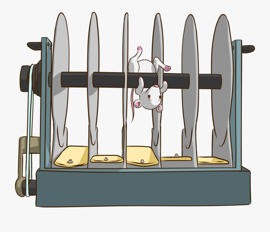 Rotarod Test Mice, Transparent Clipart
