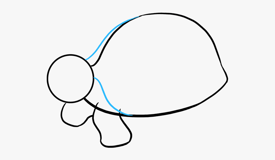 How To Draw Sea Turtle - Line Art, Transparent Clipart