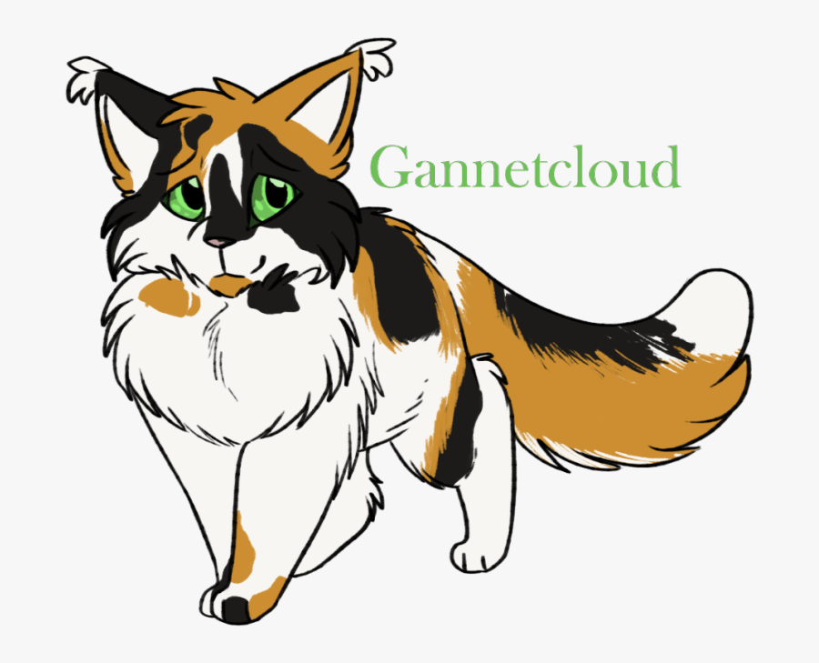 Better, Transparent Clipart