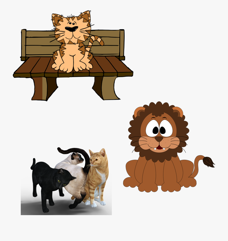 Kittens Clipart Three Cat - Cat On The Table Clip Art, Transparent Clipart