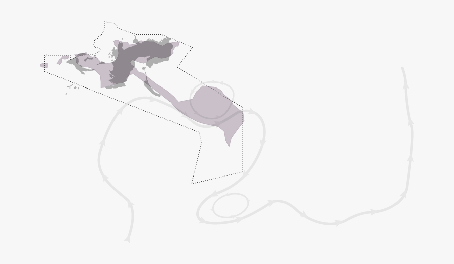 Sketch, Transparent Clipart