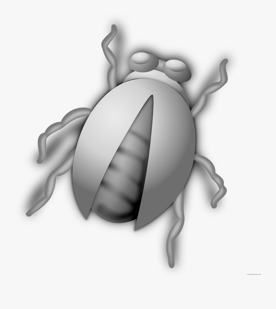 Transparent Hormiga Clipart - Bug Clip Art, Transparent Clipart