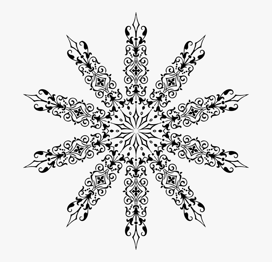Ornamental Divider Design - Springfields School Hyderabad, Transparent Clipart