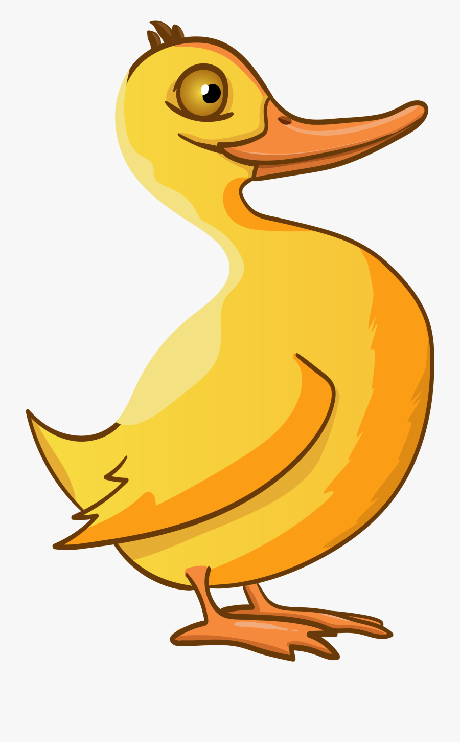 Duck, Animals, Animated, Funny, Birds - Duck, Transparent Clipart