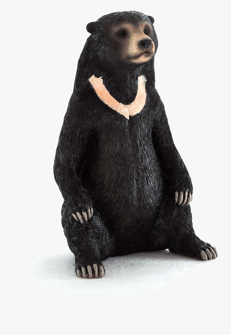 Transparent Realistic Sun Clipart - Bonobo Plush, Transparent Clipart