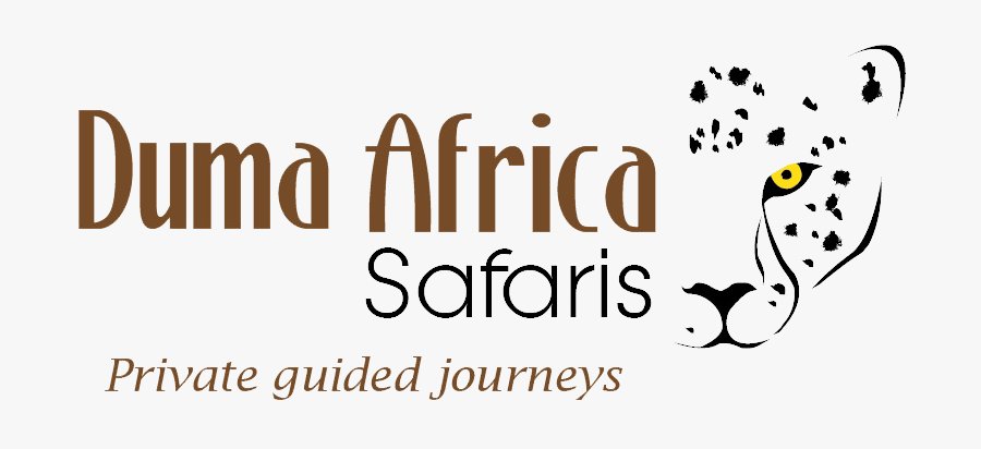 Stradivarius, Transparent Clipart