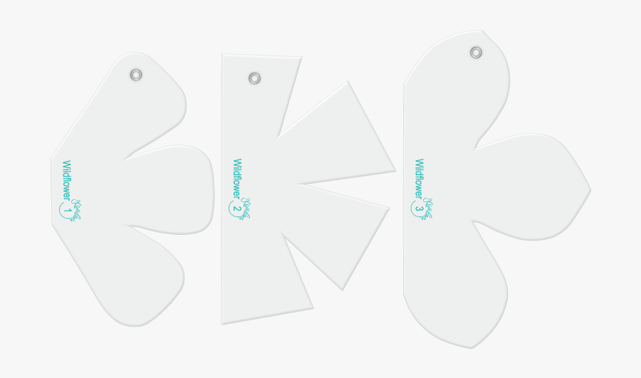 Wildflower Designer Template Accessory Set - Graphic Design, Transparent Clipart