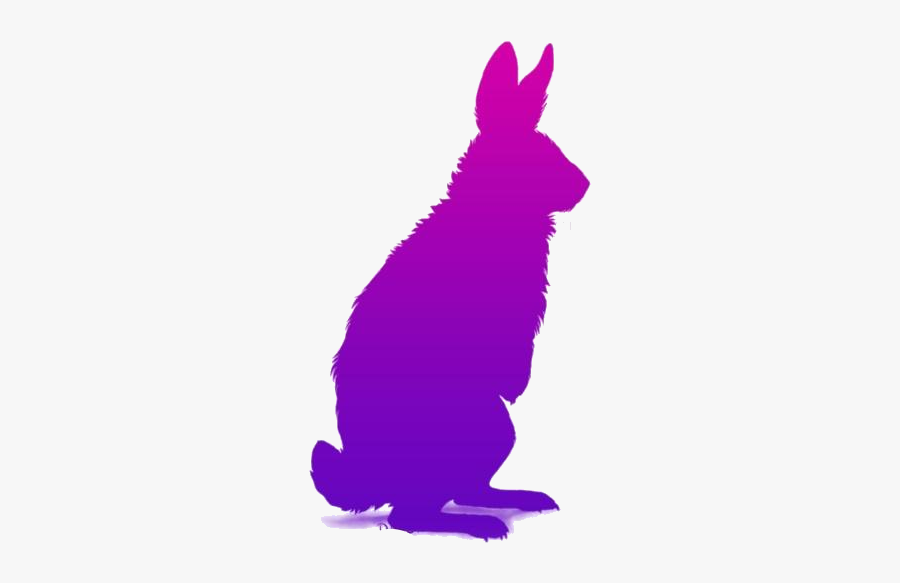 Arctic Hare Png Clipart - Illustration, Transparent Clipart