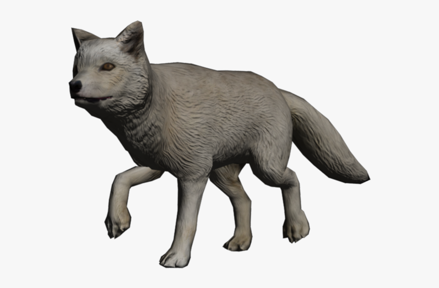 Portrait Fox Arctic Fox - Swift Fox, Transparent Clipart