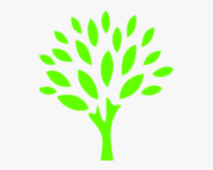 Transparent Top Of Tree Png - Go Green Auto Spa, Transparent Clipart