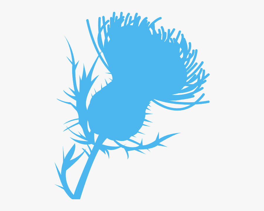 Silhouette Thistle Png, Transparent Clipart