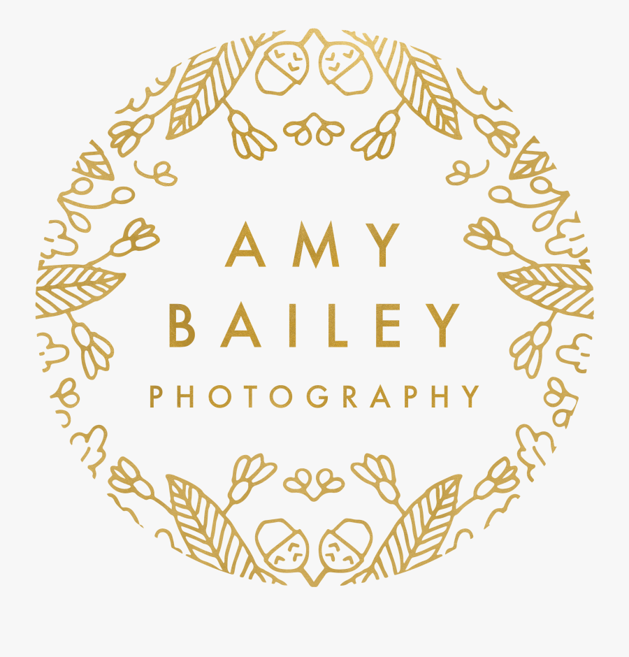 Amy Bailey Photography - Circle, Transparent Clipart