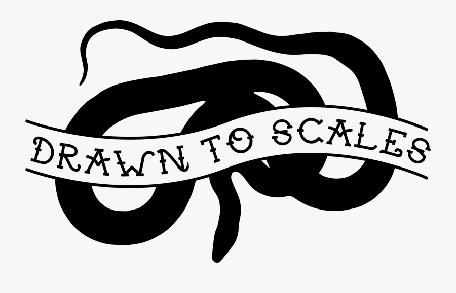 Clip Art Reptile Logos - Illustration, Transparent Clipart