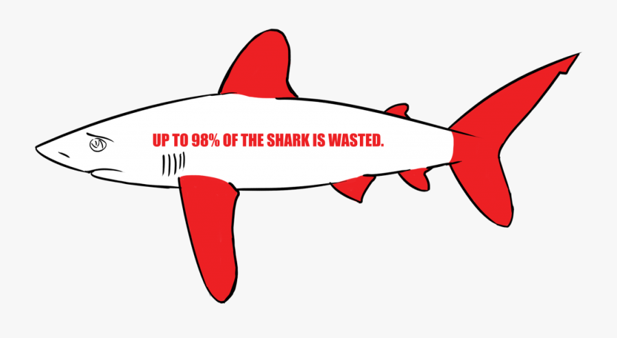 Shark Finning Facts 2018, Transparent Clipart