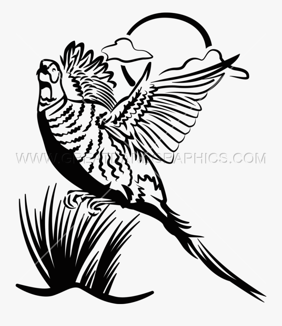Svg Black And White Pheasant - Pheasant Clip Art, Transparent Clipart