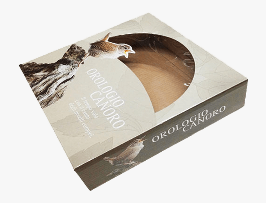 Corrugated Window Boxes - Blue-footed Booby, Transparent Clipart