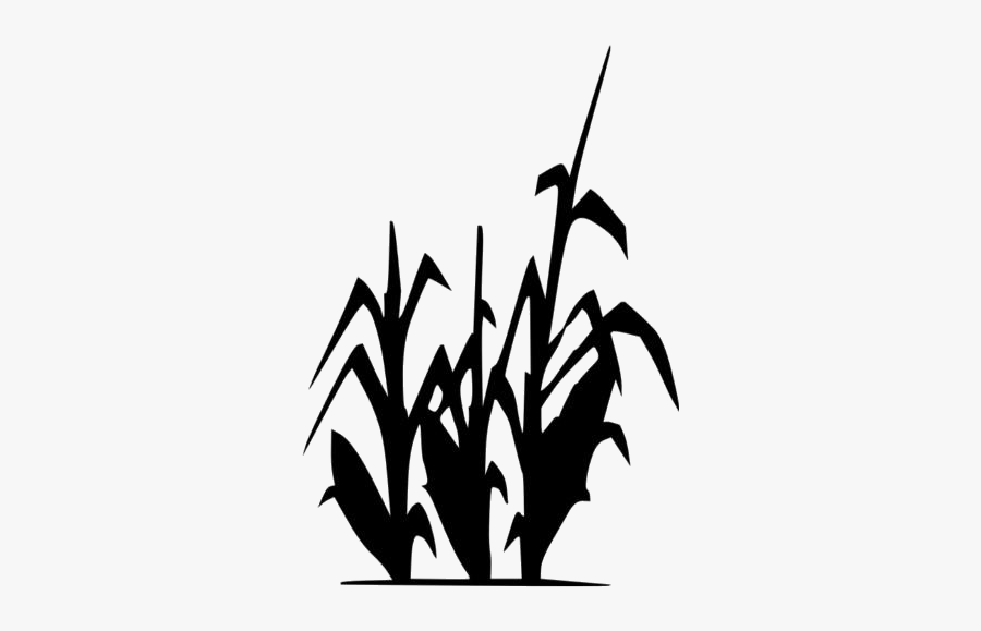 Sea Plant Png Transparent Images - Corn Stalk Clipart Black And White, Transparent Clipart