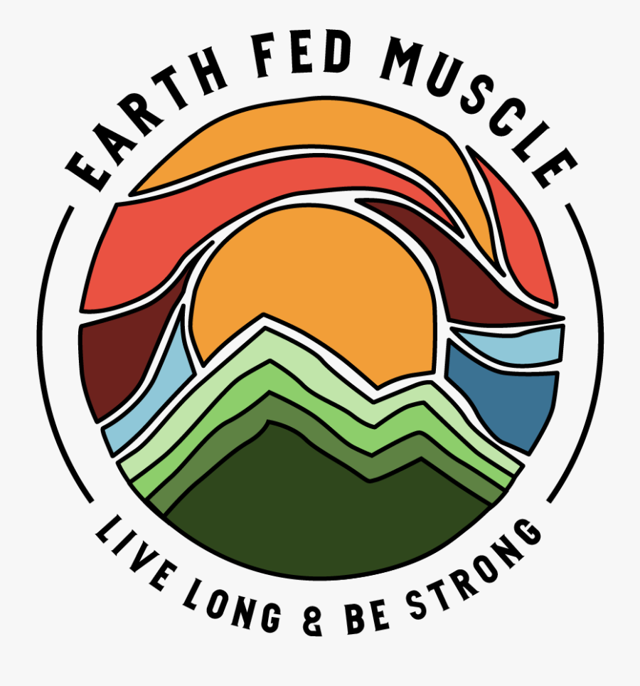 Circle, Transparent Clipart