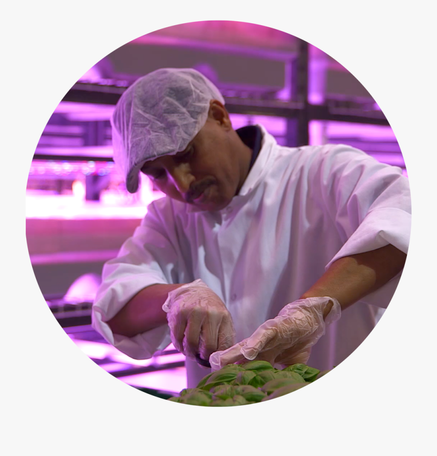 Dish, Transparent Clipart