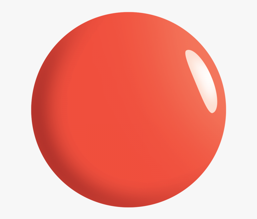 Circle, Transparent Clipart