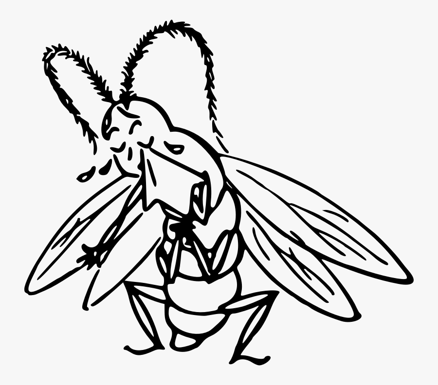 Crying Insect - Mosquito Sad, Transparent Clipart