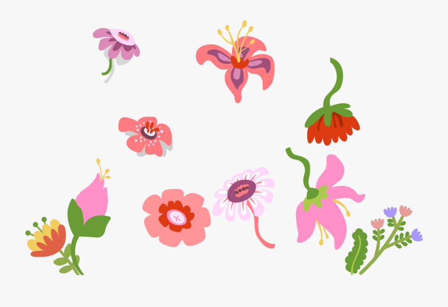 African Daisy , Transparent Cartoons - African Daisy, Transparent Clipart